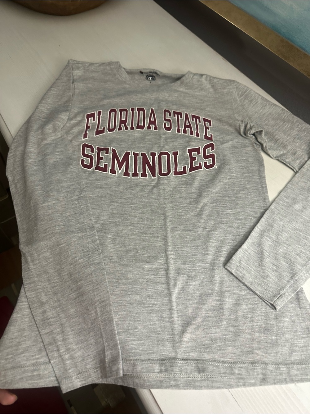 Champion Gray Florida State Seminoles Crewneck Sweatshirt